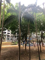Blk 17 Marine Terrace (Marine Parade), HDB 4 Rooms #211747931